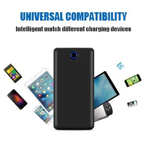 Xnuoyo Batterie Externe 20000mAh Batterie Charger Portable Power Bank avec 2 Ports Entr  e  Micro USB   Lightning   Deux Ports de Sortie USB   Lampe pour iPhone  iPad  Samsung  Nexus  HTC et autres - Noir
