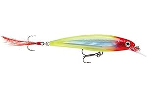 Rapala X-Rap Jerkbait XR10 Fishing Lure
