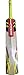 Gray Nicolls GN+ Powerbow English Willow Cricket Bat, Short Handle RS.3374.00