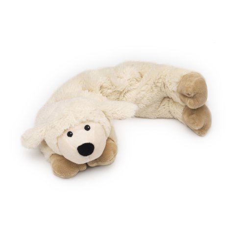 « Click to Enlarge and to go to Amazon »