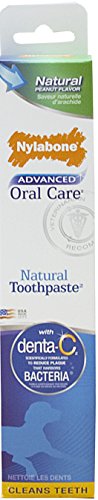 Nylabone-Advanced-Oral-Care-Natural-Toothpaste-2-12-Ounce
