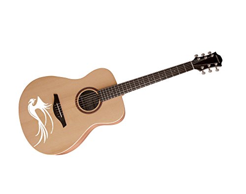 meSleep Phoenix Guitar Sticker RS.159 (60.00% Off) - Amazon