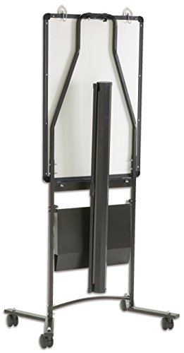 Preisvergleich Produktbild Copernicus Educational mobile Präsentation-Station - Whiteboard Mehrzwecktafel Flipchart Schule Unterricht Vorträge präsentieren Lehrer Präsentationstafel Kinder Schüler Büro Büroausstattung