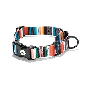 Wolfgang Man & Beast Premium USA Webbing Martingale Dog Collar for Small Medium Large Dogs, LostArt Print, XL (1 Inch x 22-29 Inch)