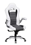 FineBuy Chaise de Bureau Racing Chaise Design Ordinateur Gamer Course siège Sport |avec Repose-tête Fauteuil de Direction Gamer | Cuir synthétique - Blanc avec Rayures Noires - Chaise de Jeu 120 kg
