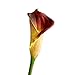 Produktbild Jia HU mit eleganten Blumen Künstliche Calla für Pflanzen, Hochzeits-Deko
