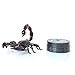 Produktbild Vige Infrarot-Fernbedienung Realistischer gefälschter Schein-Skorpion mit 360 ° Rotation RC Prank Insect Bugs für Witz Scary Trick Toy Kid - Schwarz