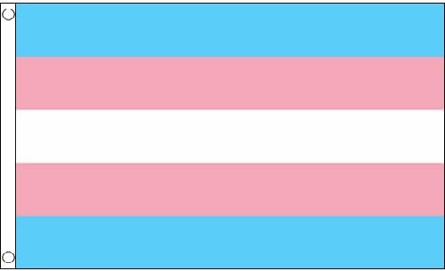 The Flag Wholesaler B008974 Transgender New Flag, Multi-Colour, 24 x 1 x 23 cm