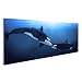 Produktbild islandburner Bild Bilder auf Leinwand Zwei Orcas Wale Poster, Leinwandbild, Wandbilder