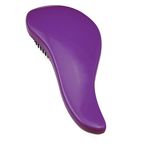 Fashion Gallery Handle Tangle Detangling Comb Shower Hair Brush Salon Styling Tool