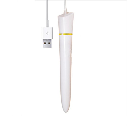 Preisvergleich Produktbild Ein Heizstab Heizthermostat USB-Stick erwachsenes Geschlecht spielt