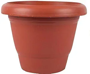 CAKESHALA Plastic Pots Container for Plants in Garden & Home Size 10 inch Pack of 6