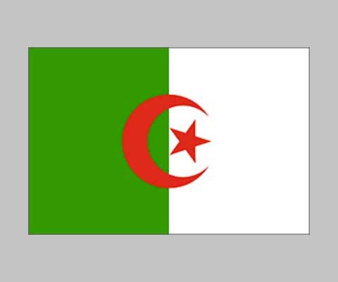 Supportershop-Supportershop Flglg Drapeau Mixte Adulte, Vert, 150 x 90 cm