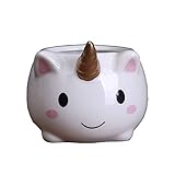 maceta pintada unicornio ❀Contenido del paquete: 1PCS mini maceta (excluyendo plantas y arena)