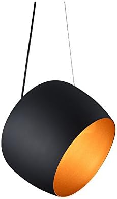 DYBLING Modern Contemporary Pendant Light Ceiling Lighting E53 Light Lamp Fixture 26*23CM for Dining Room, Bedroom, Living Room,Coffee Bar, Hallway