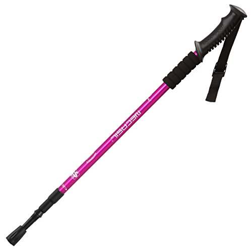 AUTOPKIO Trekking Pole Mit Tragetasche, Paar Wanderer Wanderstange Walking Pole 6061 Aluminiumlegierung Klappstab Ultralight zusammenklappbar, Anti-Schock mit EVA Schaum Griff - 2