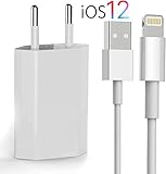 ⚡ KOMPATIBILITÄT - iOS 12 sowohl aufwärts, als auch abwärts kompatibel - Apple iPhone XR, XS, XS Max, 8, 8 Plus, X, 7, 7 Plus, 6, 6 Plus, 6s, 6s Plus, 5, 5s, 5c, SE, iPad 4, Mini, 2, 3, 4, Air, 2, Pro