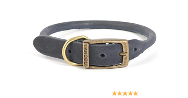 ancol leather collar