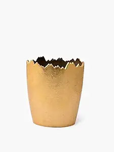Casa Decor Golden Nordic Tooth Flower Vase for Centerpiece, Holder, Modern Home Decor Vase