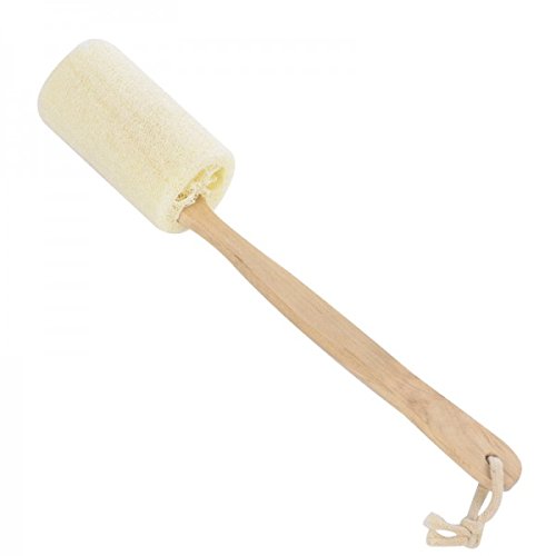 Rustic Rituals, Natural Exfoliating Loofah | Body Scrub | Back Scrub | Body Brush | Body Scrubbing Brush | With Wooden Stick Handle RS.399 (69.00% Off) - Amazon
