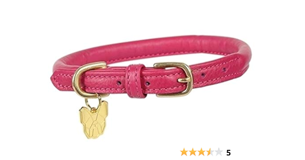 amazon leather collar