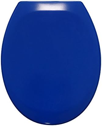 Blue Toilet Seat With Automatic Closure and Quick Release Function