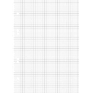 Preisvergleich Produktbild Brunnen 5 x Ringbucheinlagen A5 kariert 100 Blatt