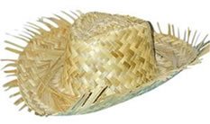 Preisvergleich Produktbild Beachcomber Strohhut, Erwachsenengröße / Einheitsgröße