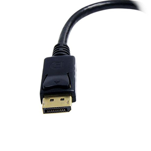 StarTech.com DisplayPort auf DVI Adapter – DP (Stecker) zu DVI-I (Buchse) Video -Konverter – maximale Auflösung 1920×1200 - 4
