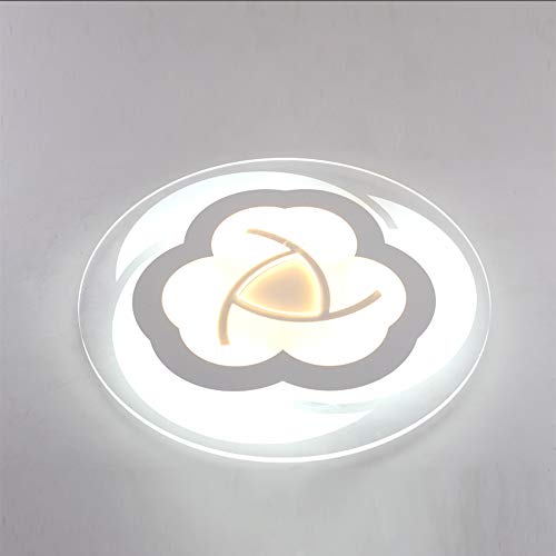 Preisvergleich Produktbild Moderne LED-Deckenleuchten für Wohnzimmer Schlafzimmerküche leuchten ultradünne Halle Leuchtschirm LED-Deckenlampe,B,78cm