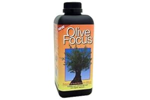 Advanced Nutrition Olive Focus - Growth Technology - 1L - Quick -