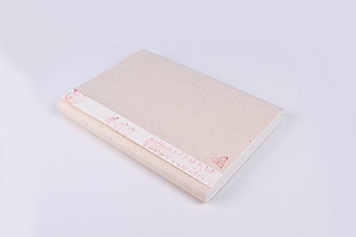 Semi behandelt Reis (Xuan) Papier für chinesische japanische Kalligraphie und Malerei 100 Blatt Pack 34 cm von 70 cm