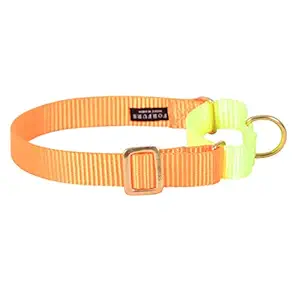 Forfurs Classic Dog Martingale Collar for Medium Dogs - Neon Orange x Lime Green