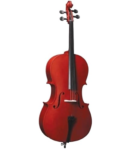 Infinity Cello 4/4, Professional model : Amazon.in: Musical