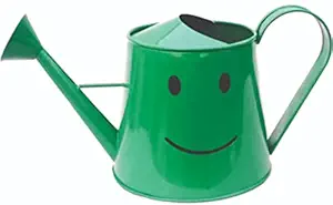 Railing planter impex Eyes Smile 3 litres Metal planters Round Watering Can - Rust Free Home Decor Gifting, Garden, Gardening, Tools - ( Green )