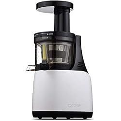 Extracteur de Jus BioChef Synergy - Slow Juicer, Extracteur de Jus sans BPA. Facile à Nettoyer, Garantie 10 ans