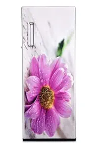 JIGYANSH TRADERS Domestic Flour Mill, Atta Chakki, Aata Maker - White Base with Printed Door (Sankalp-06)