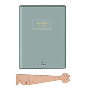 Lot Agenda de L'étudiant 2018-2019 Cirrus d'Oberthur 1 Jour par page - Gris Foncé + 1 Règle Marque-page en bois Blumie
