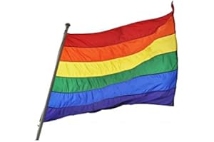 WE SHOW PRIDE Gay Pride Flag Rainbow LGBTQ+ Lesbian Bisexual Trangender Queer Non Binary Parade March Wall Large (90cm x 150cm)