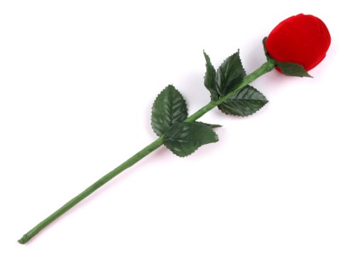 BUSDUGA – Rose 270mm , als Ringdose – perfekt für ihren Antrag - 2