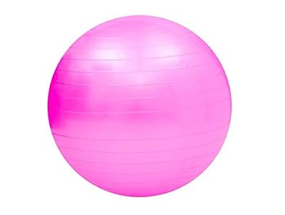PowerDirect Swiss Ball Ballon de Fitness Gymnastique pour Pilates Yoga Renforcement du Dos avec Pompe Ballon - Rose Diamètre Ballon 65 cm Taille S