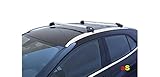 gepäckträger auto für Fahrzeuge mit integrierte Reling längs auf dem Dach