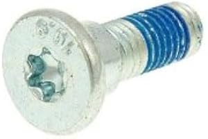 BIKE EQUIPMENT Flachkopf Schraube M8 für Bremsscheibe mit 10mm Loch