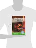 Image de Langman. Embriología médica (13ª ed. - 2016)