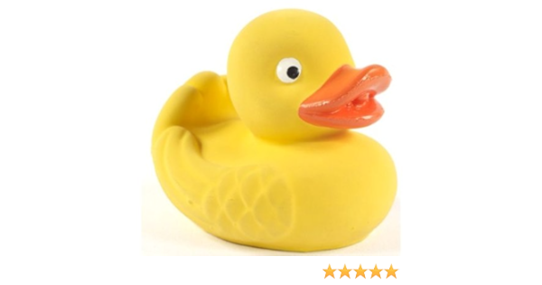 the real rubber duck