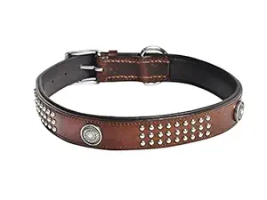 Aalee Dog Collar Superior Made with Leather | Light Brown Size 45-55CM for Medium and Large Dog