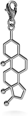 GIORRE New Testosterone Chemical Fomule Charms 189 ¤ Sterling Silver 925