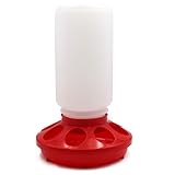 M.Z.A Mangeoire pour volaille/Poule en Plastique 1 l pour Poulet, Poulet, Poule, caille Red