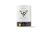 VeganFit+ Vegan Protein | Hochwertiges Proteinpulver mit Eiweiß aus Reis, Hanf und Erbse + Superfoods (Maca, Quinoa Sprossen, Algenöl) & Probiotika | Schoko, 400g, 13 Shakes