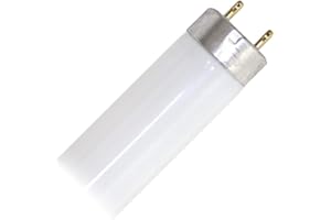 Osram Ampoule fluorescente L 36 Watts 865 - Lumière du jour